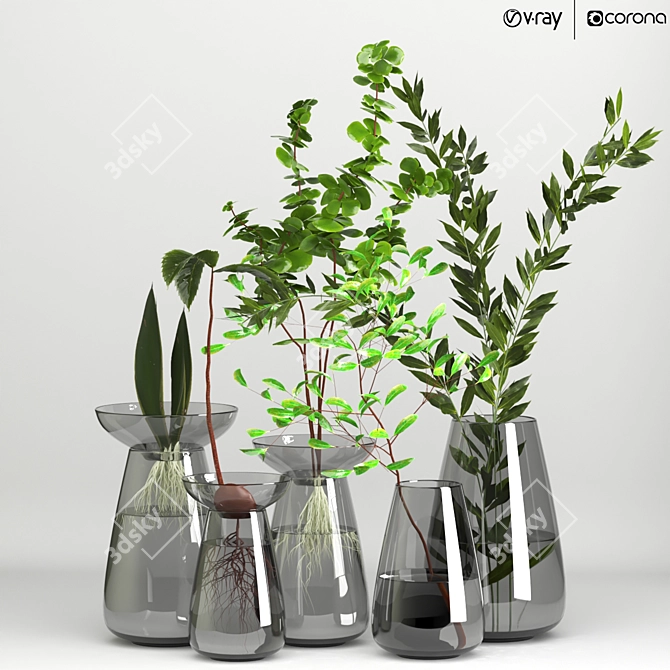 Indoor Plant Bouquet Set 3D model image 1