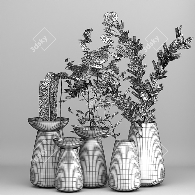 Indoor Plant Bouquet Set 3D model image 2