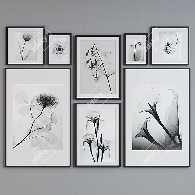 Botanical X-Ray Frame Set 3D model image 2