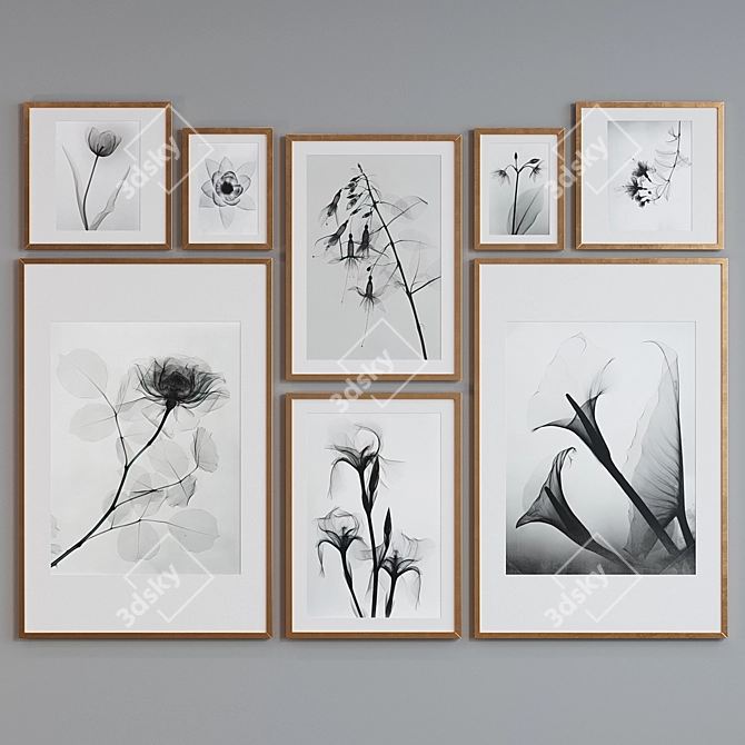 Botanical X-Ray Frame Set 3D model image 4