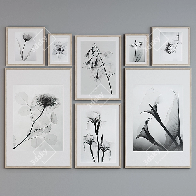 Botanical X-Ray Frame Set 3D model image 5