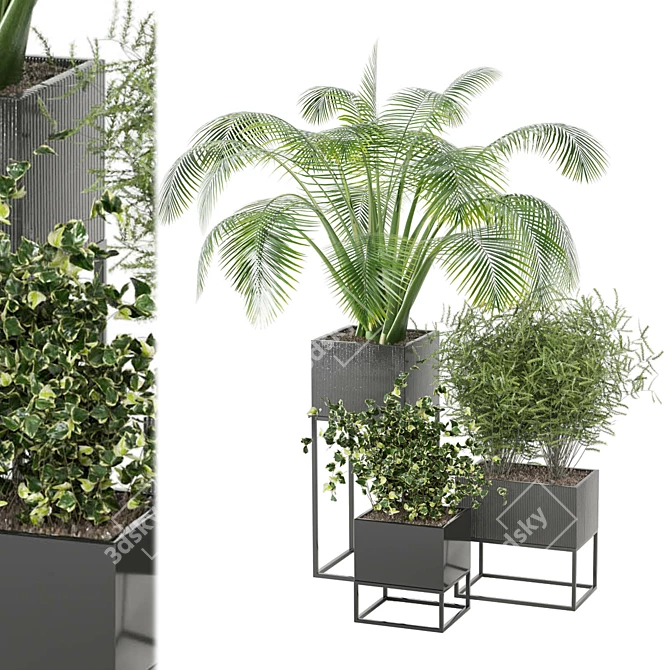 2015 Indoor Plants Set: V-Ray/Corona 3D model image 2