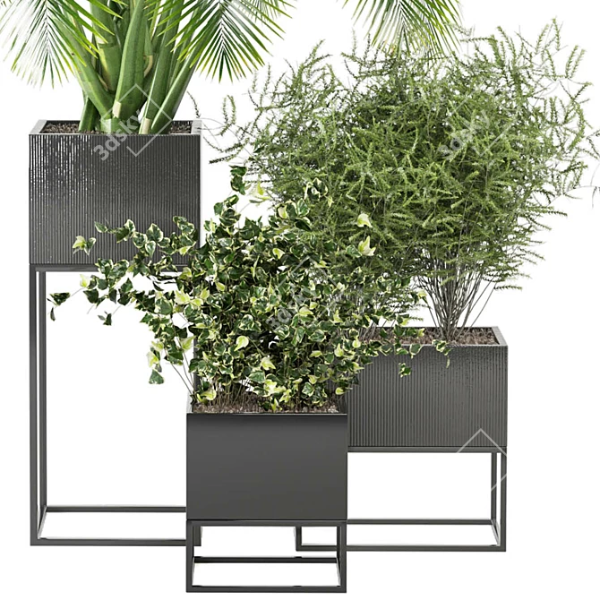 2015 Indoor Plants Set: V-Ray/Corona 3D model image 3