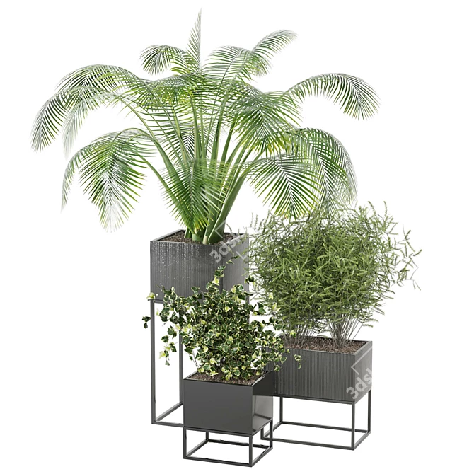 2015 Indoor Plants Set: V-Ray/Corona 3D model image 5