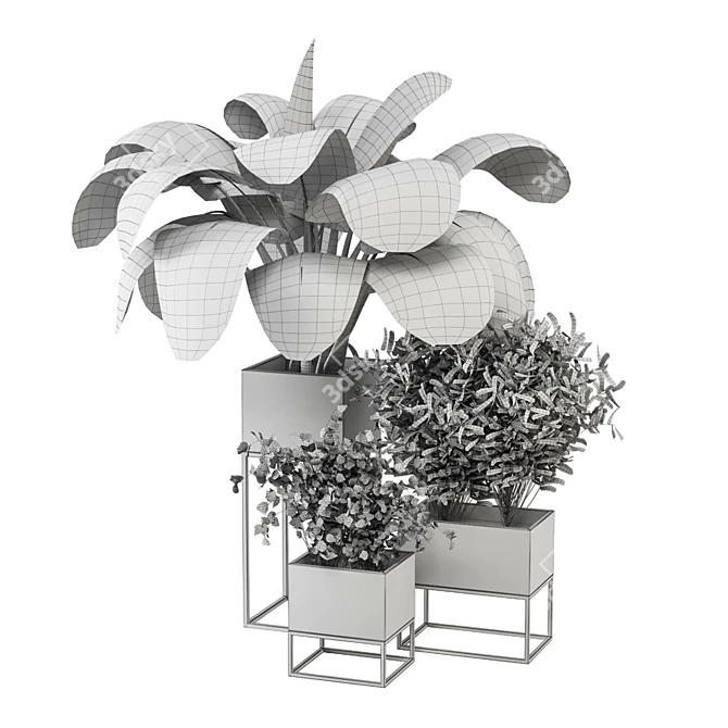 2015 Indoor Plants Set: V-Ray/Corona 3D model image 1