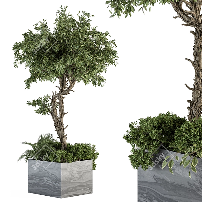 Stone Box Garden: Outdoor Plant Set 3D model image 1