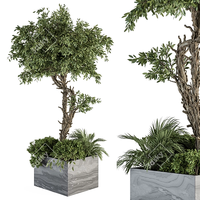 Stone Box Garden: Outdoor Plant Set 3D model image 2