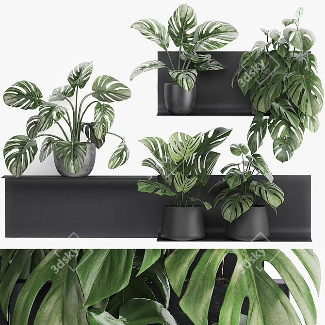 Exotic Vertical Garden Shelf 3D model image 1