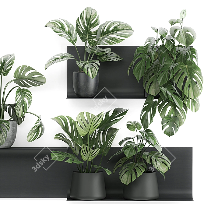 Exotic Vertical Garden Shelf 3D model image 3