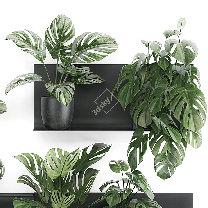 Exotic Vertical Garden Shelf 3D model image 5