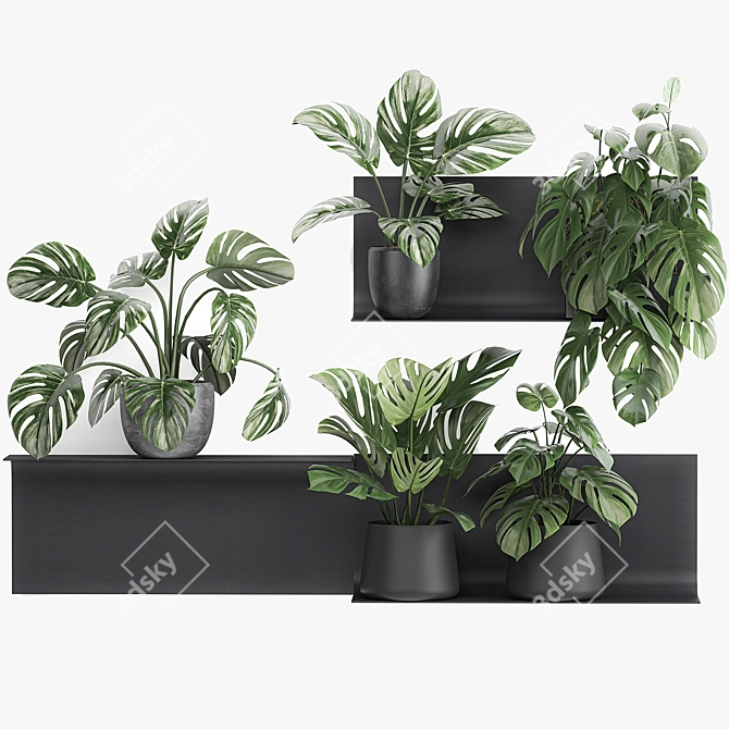 Exotic Vertical Garden Shelf 3D model image 6