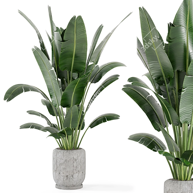  Rusty Concrete Pot Indoor Plants - Set 285 3D model image 1