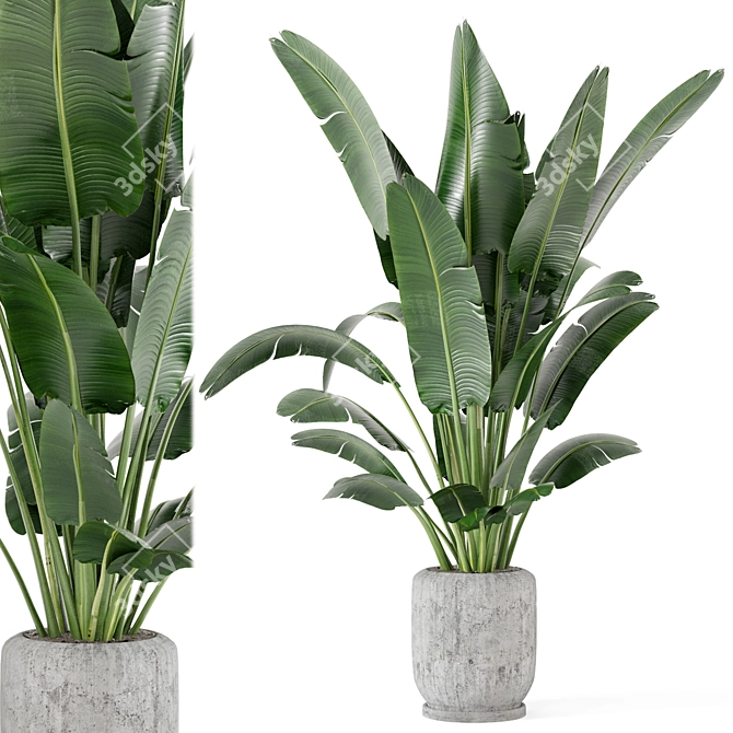  Rusty Concrete Pot Indoor Plants - Set 285 3D model image 2