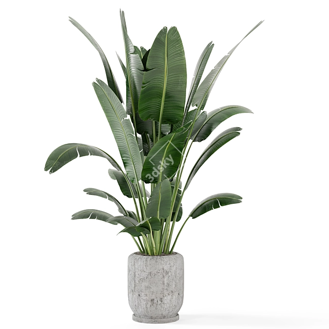  Rusty Concrete Pot Indoor Plants - Set 285 3D model image 5