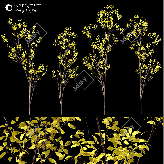 Heightened Elegance: Land Scape Tree 3D model image 2