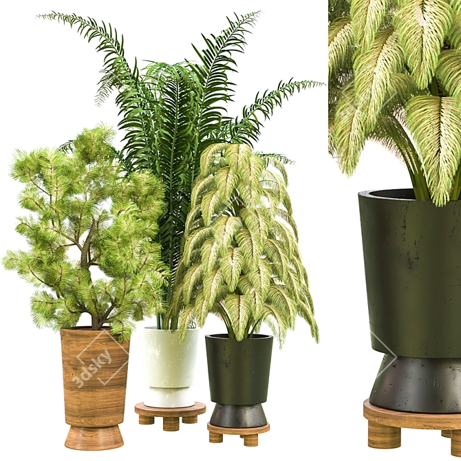 Indoor Plant Vol 11: Stunning Botanical Beauty 3D model image 1