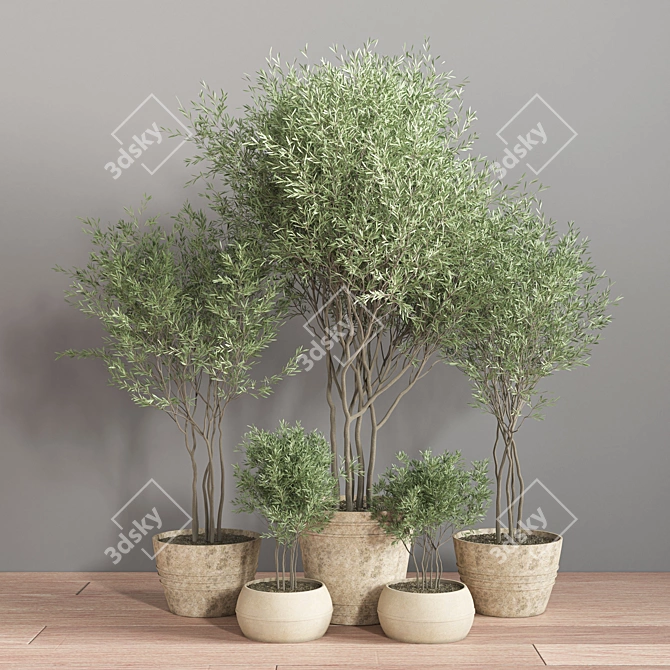 Greenery Haven: 25-Piece Indoor Plant Set 3D model image 2