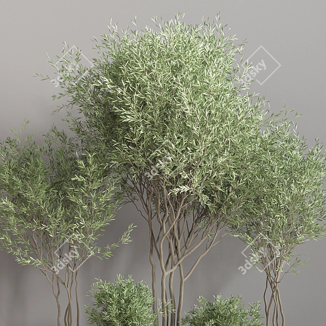 Greenery Haven: 25-Piece Indoor Plant Set 3D model image 4