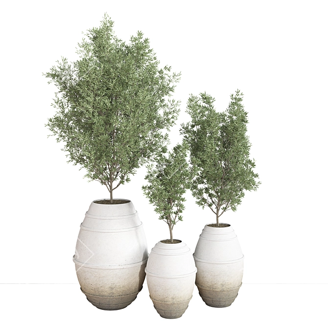 Modern Indoor Plant Set 3D model image 1