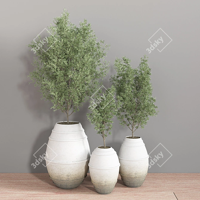 Modern Indoor Plant Set 3D model image 2