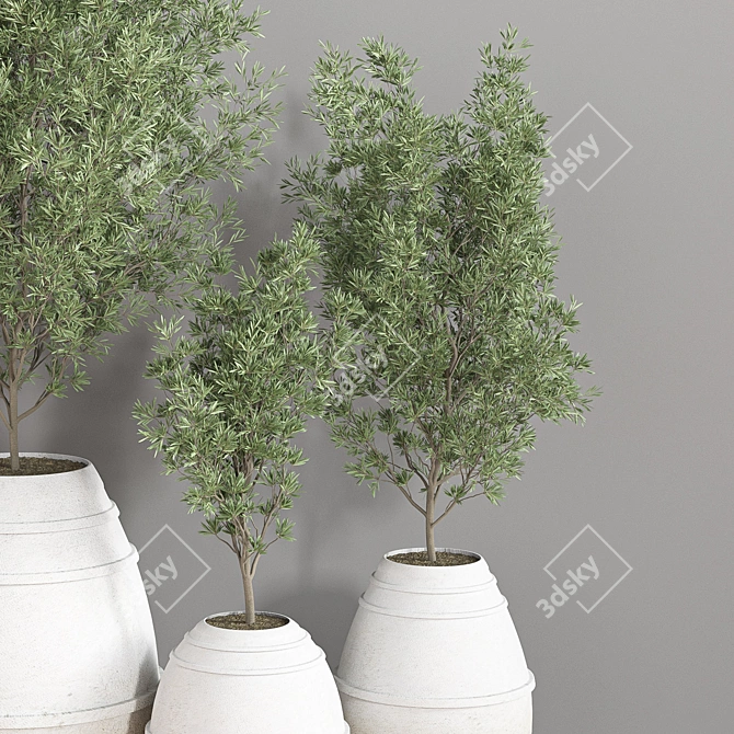 Modern Indoor Plant Set 3D model image 4