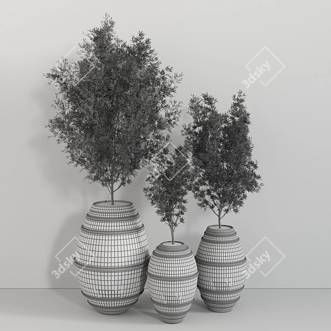 Modern Indoor Plant Set 3D model image 6