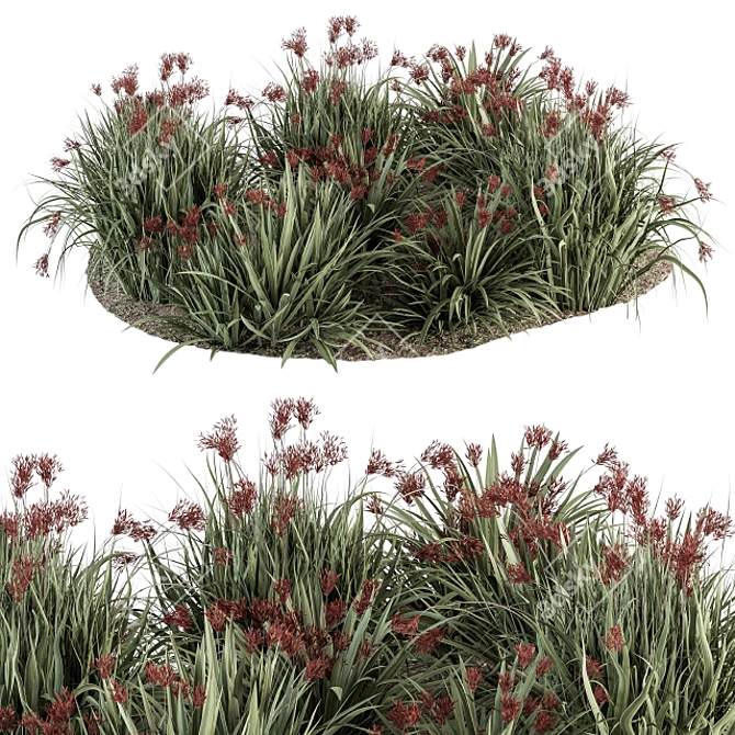 Garden Planting Kit: Bush Edition 3D model image 1