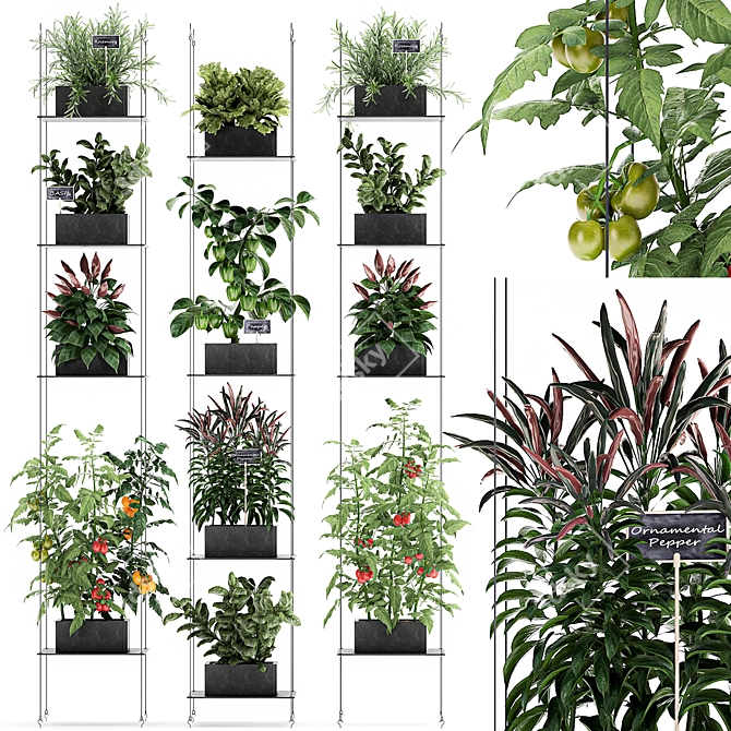 Vertical Garden: 72 Plant Varieties 3D model image 1