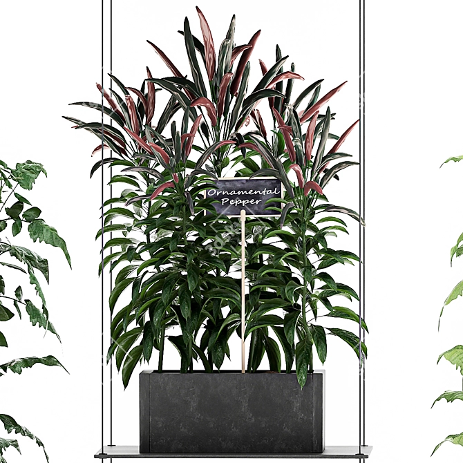 Vertical Garden: 72 Plant Varieties 3D model image 3