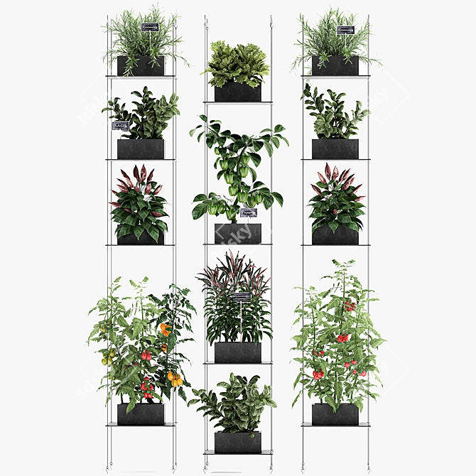 Vertical Garden: 72 Plant Varieties 3D model image 6