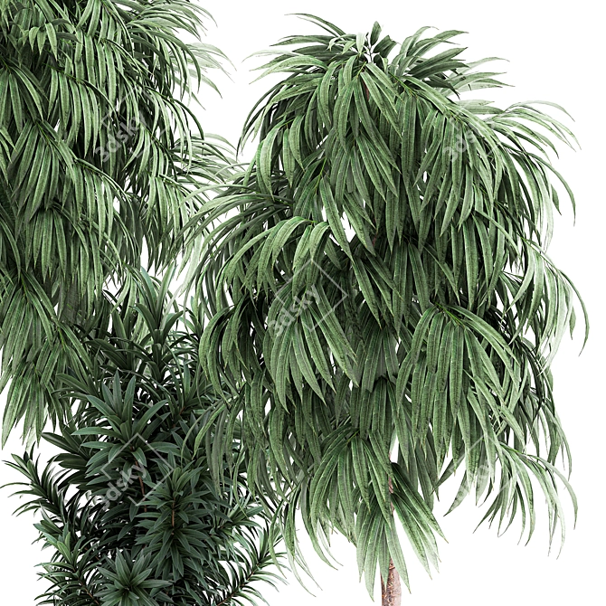 Tropical Plant Collection: Exotic and Stylish 3D model image 3