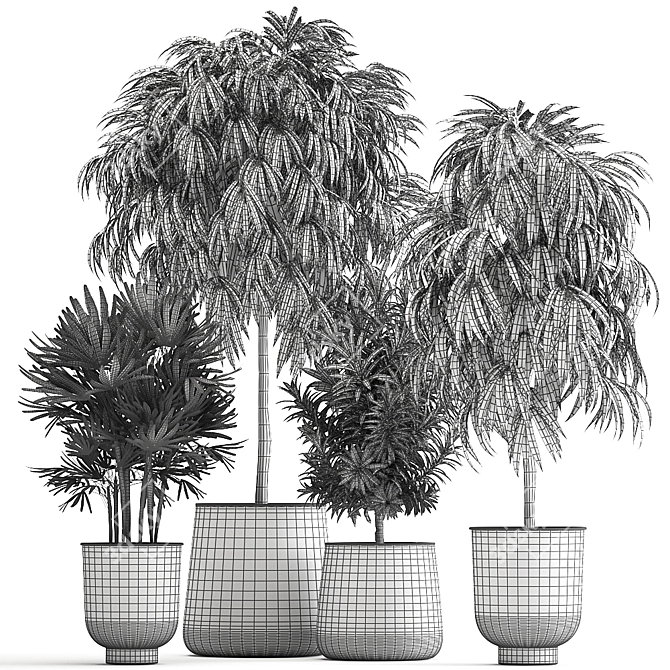 Tropical Plant Collection: Exotic and Stylish 3D model image 7