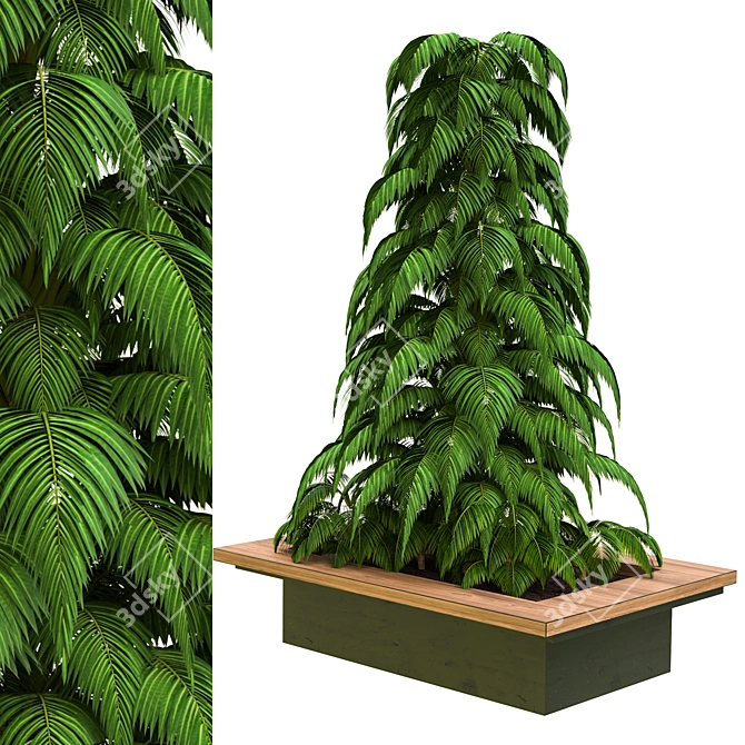 2015 Outdoor Plant Vol 17: VRAY Render 3D model image 1