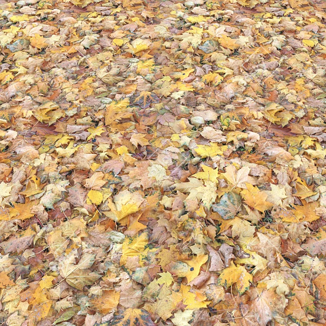 Autumn Leaves Texture Set 3D model image 2