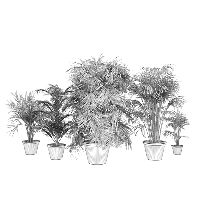 Indoor Palm Collection Vol. 256 3D model image 7