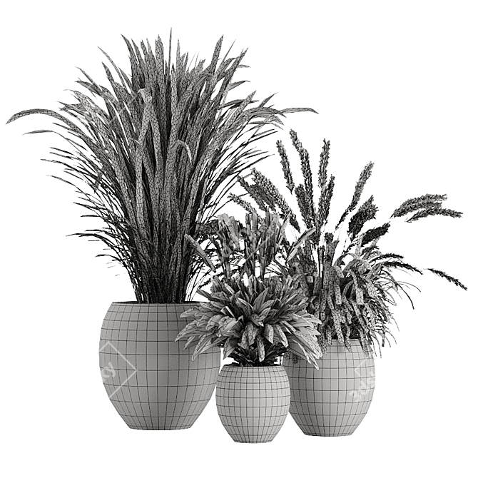 Faux Pampas & Grass Pot Trio 3D model image 3