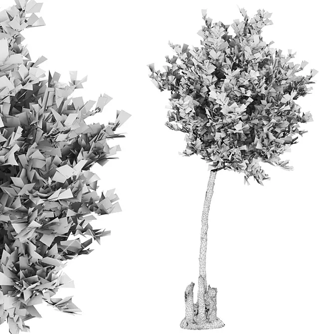 Premium Quality Tree: High-Quality & Optimal 3D model image 2