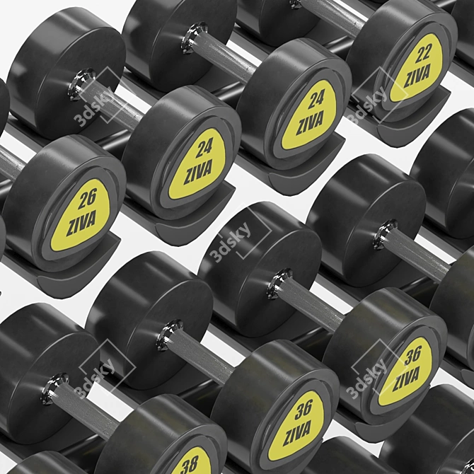 Ziva Dumbbell Set: 16Kg-50Kg 3D model image 4