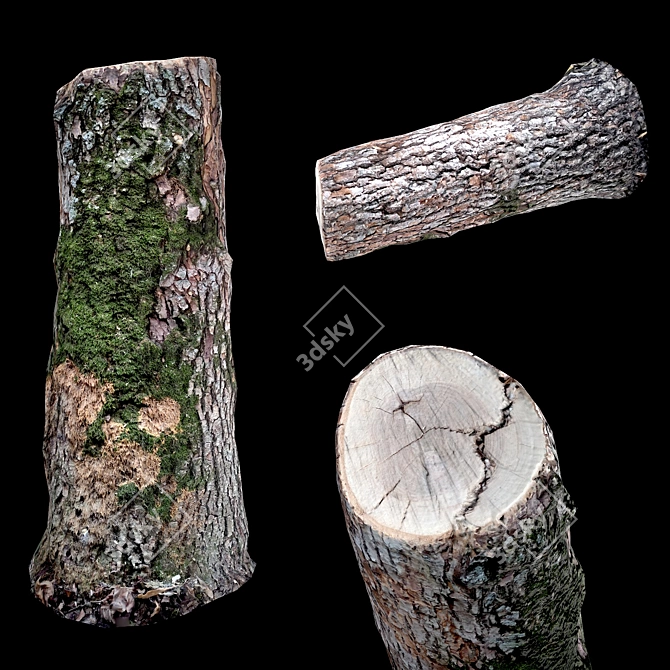 Photogrammetry Stump Game-Ready Model  Photorealistic 3D Stump for Video Games 3D model image 1