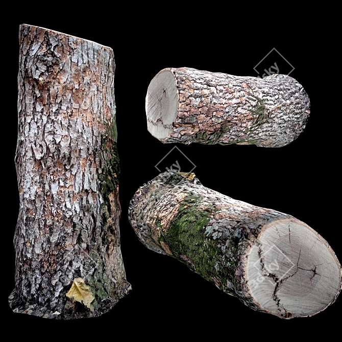 Photogrammetry Stump Game-Ready Model  Photorealistic 3D Stump for Video Games 3D model image 2