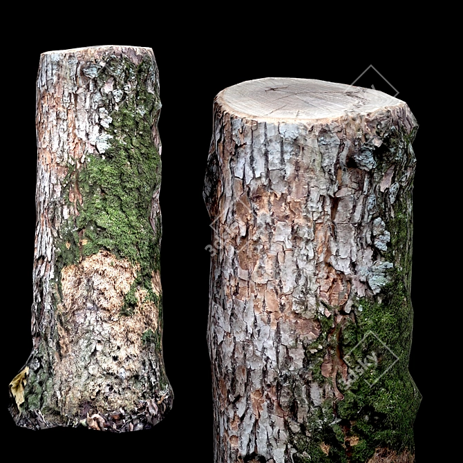 Photogrammetry Stump Game-Ready Model  Photorealistic 3D Stump for Video Games 3D model image 4