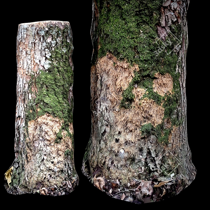 Photogrammetry Stump Game-Ready Model  Photorealistic 3D Stump for Video Games 3D model image 6