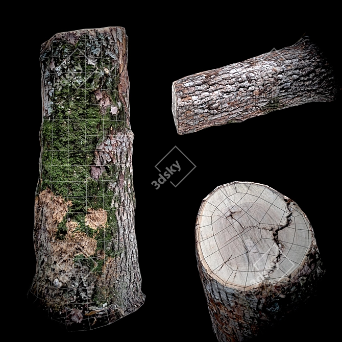 Photogrammetry Stump Game-Ready Model  Photorealistic 3D Stump for Video Games 3D model image 7