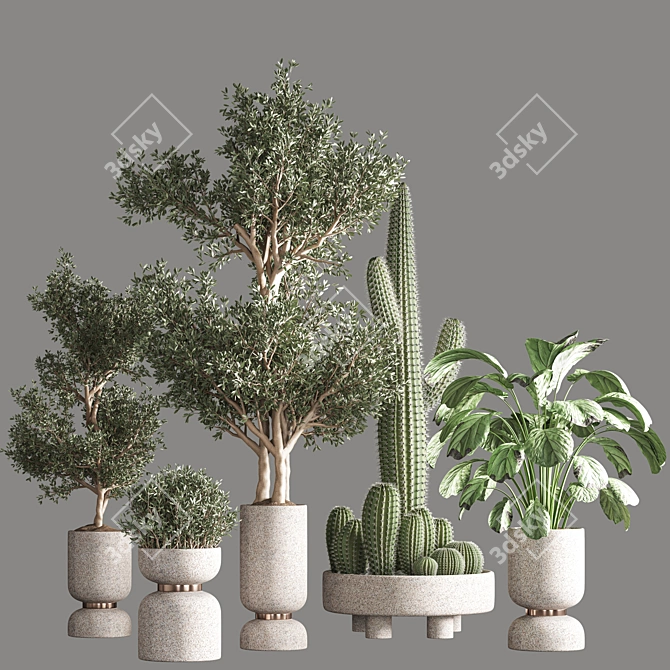 Lush Indoor Plant Set 3D model image 1