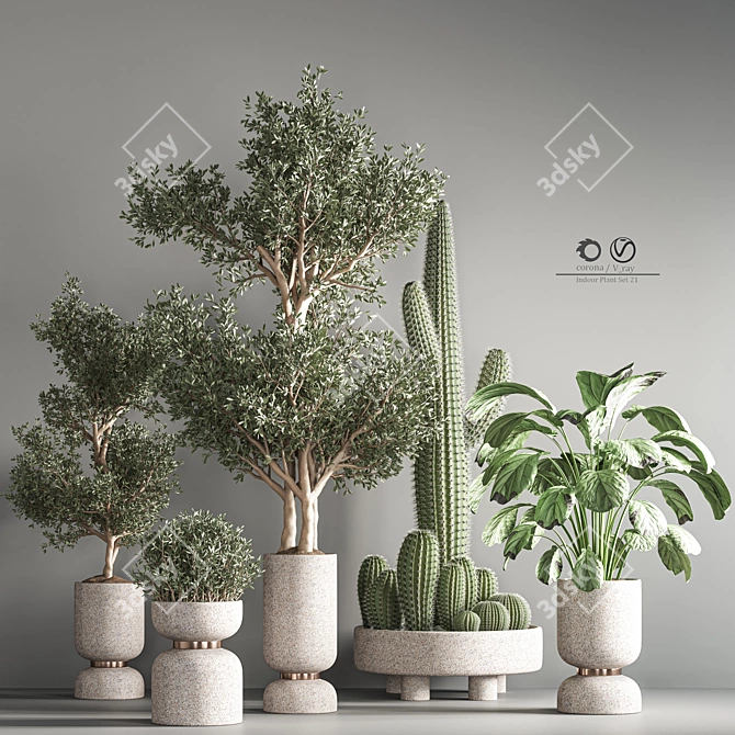 Lush Indoor Plant Set 3D model image 2