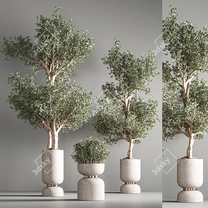 Lush Indoor Plant Set 3D model image 3