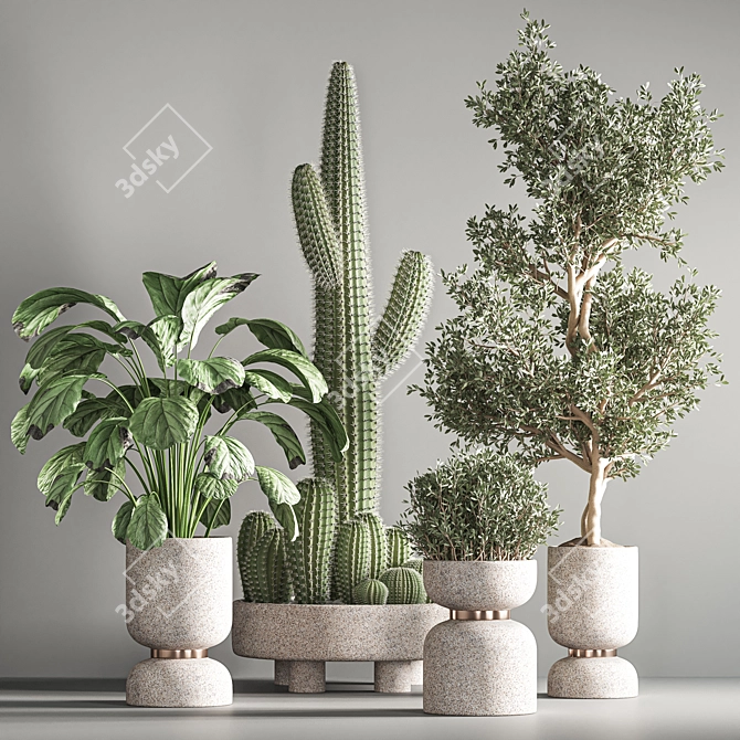 Lush Indoor Plant Set 3D model image 4