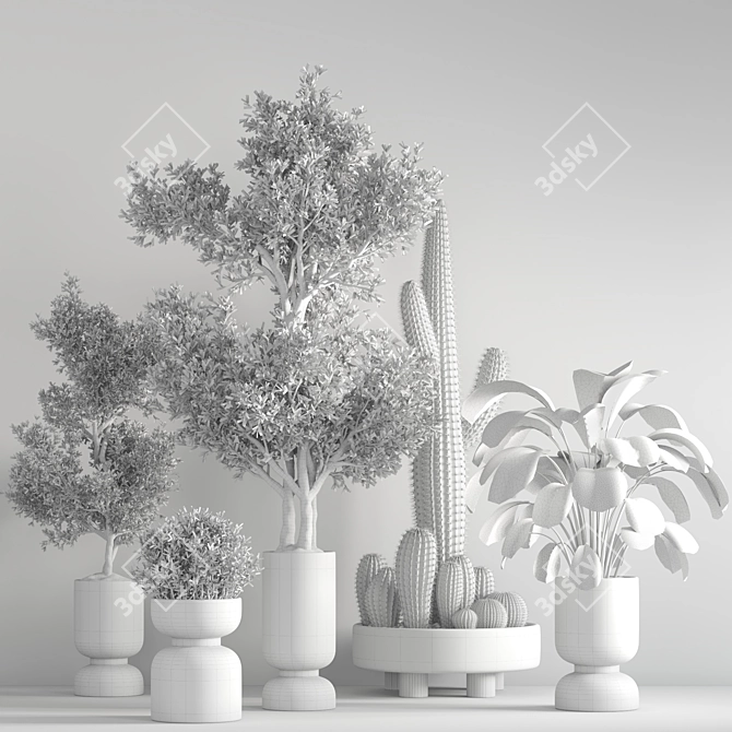 Lush Indoor Plant Set 3D model image 6