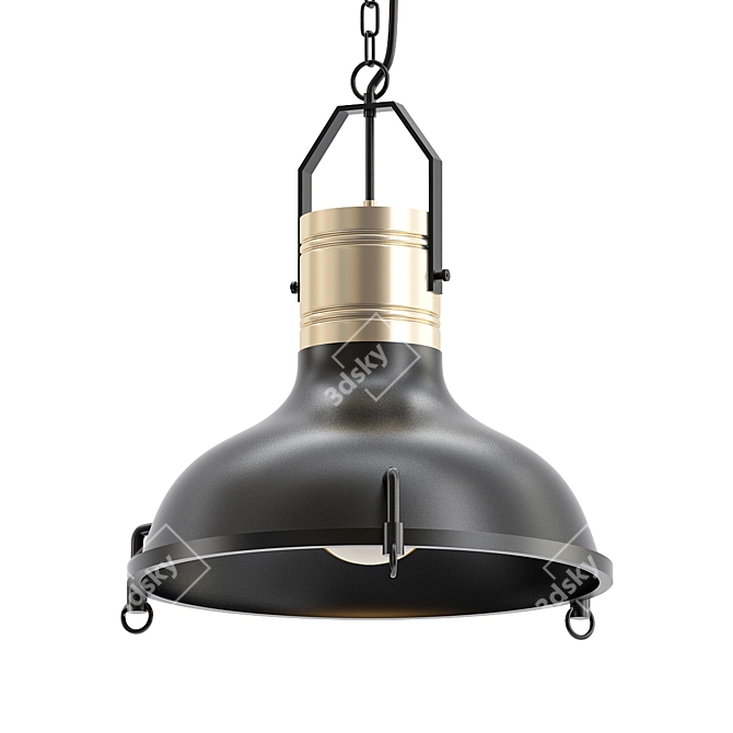 Sleek Raw Black Pendant Lamp 3D model image 1