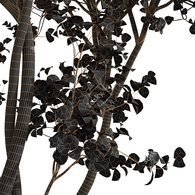 Real Tree Acer Saccharinum: Lifelike 3D Model 3D model image 6